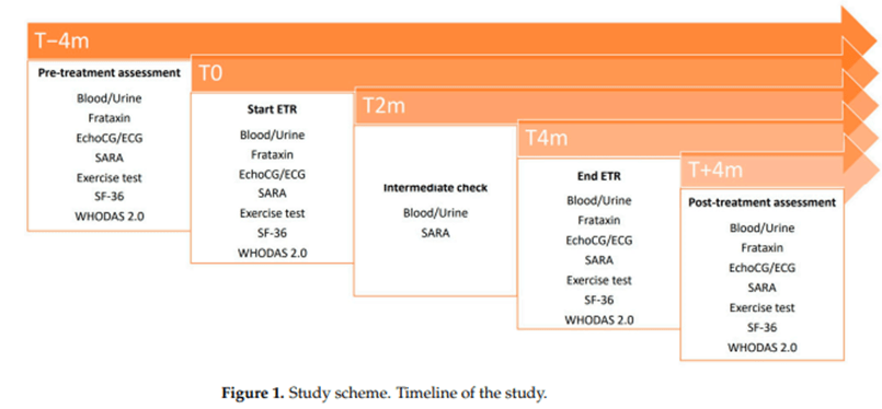 figure 1 de l'article